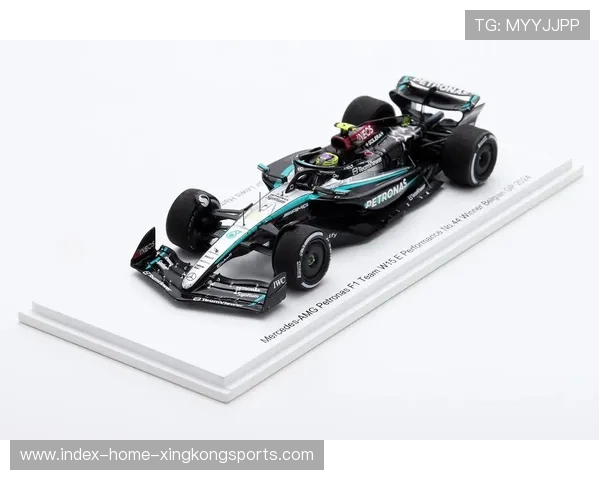 汉密尔顿利用 DRS 完成干净超越