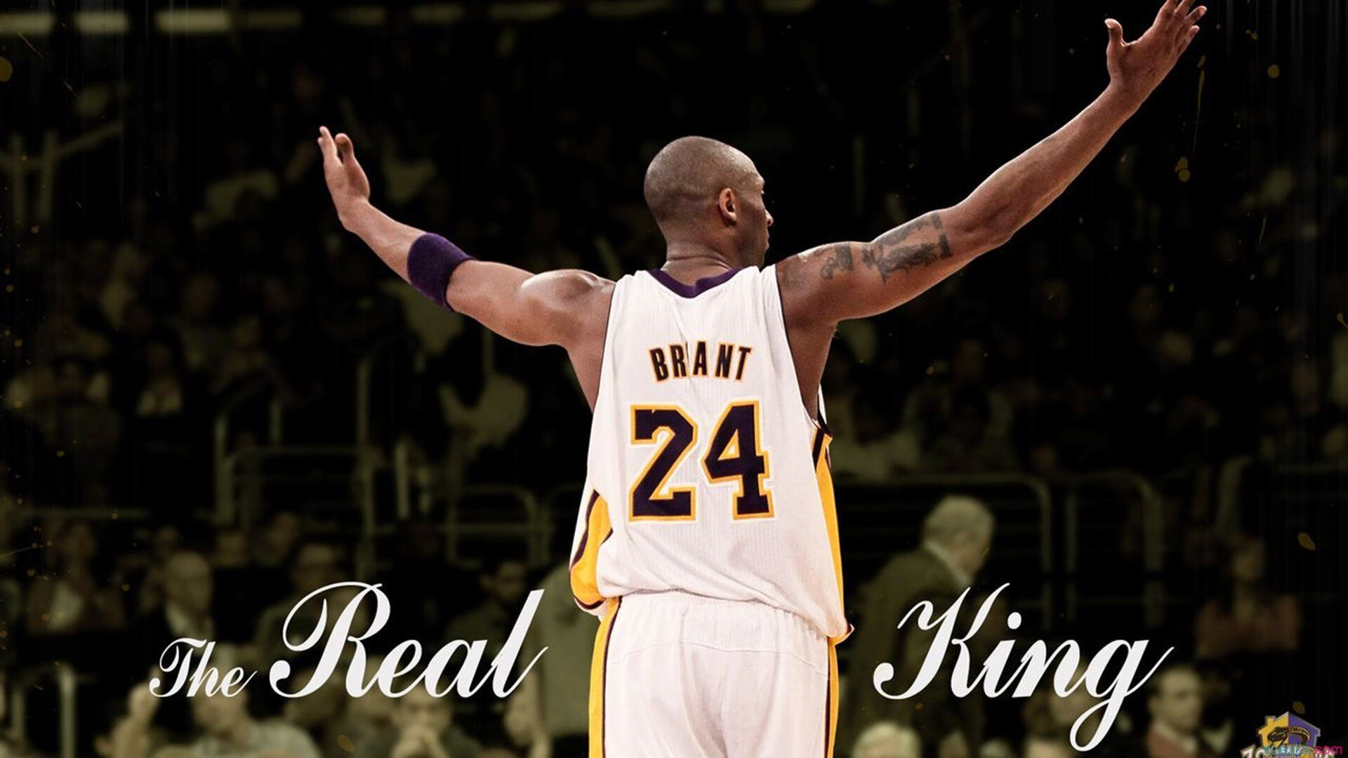 体育赛事年度热点分析